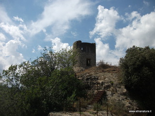nnizzu-28-08-2022 12-38-40